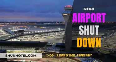 Chicago's O'Hare Airport: Temporary Shutdown and Its Impact