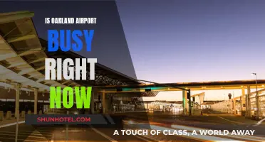 Oakland Airport: Current Traffic and Wait Times