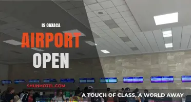 Is Oaxaca Airport Open? Current Status and Travel Updates
