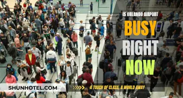 Orlando Airport: Current Rush Hour Insights