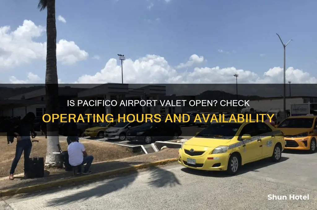 is pacifico airport valet open