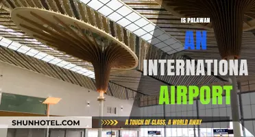 Is Palawan Airport International? Exploring Puerto Princesa's Global Connectivity