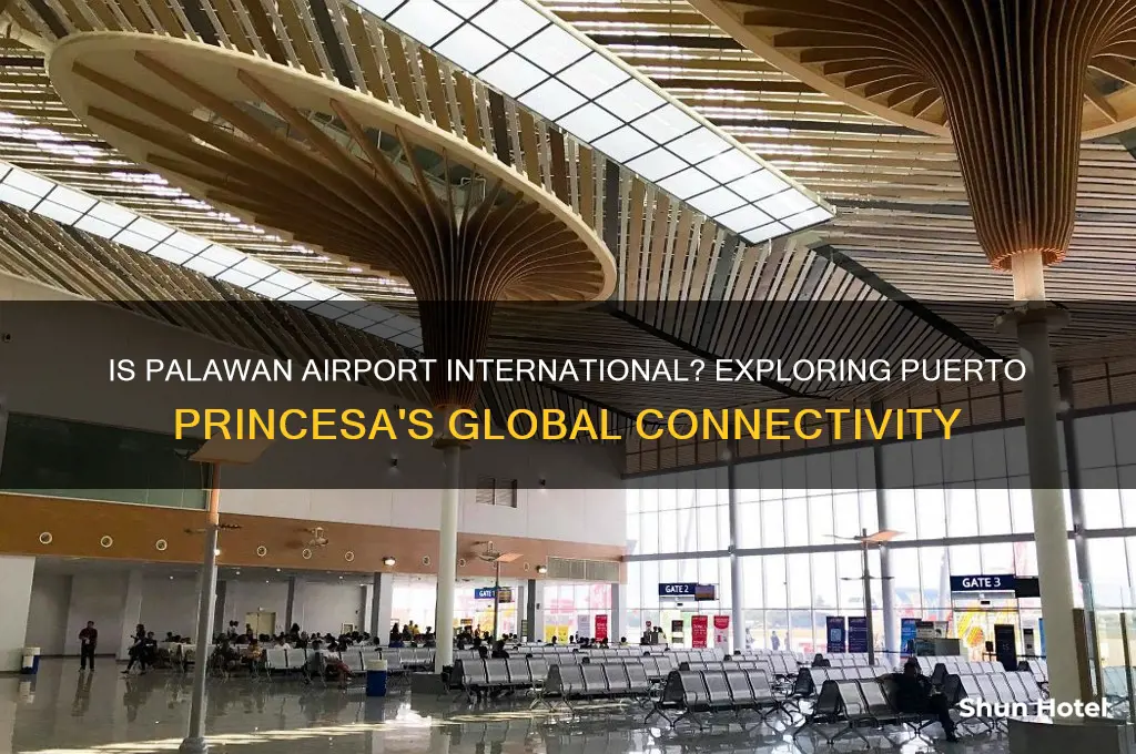 is palawan an international airport