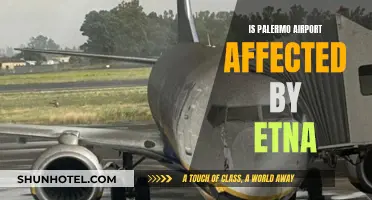 Palermo Airport and Mount Etna: Impact and Safety Measures