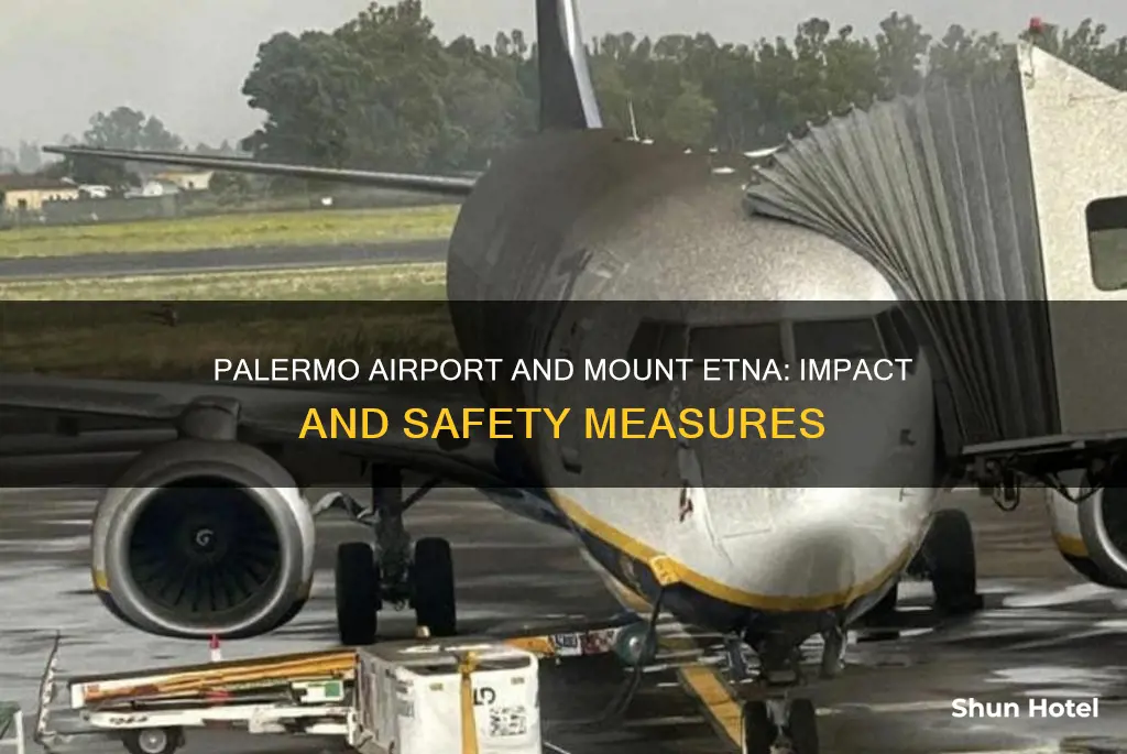 is palermo airport affected by etna