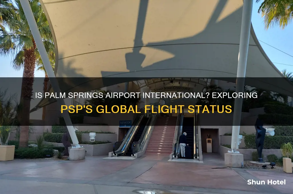 is palm springs airport international