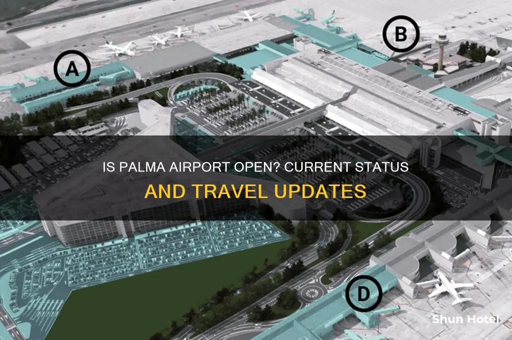is palma airport open