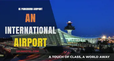 Is Pangborn Airport International? Exploring Its Global Connectivity