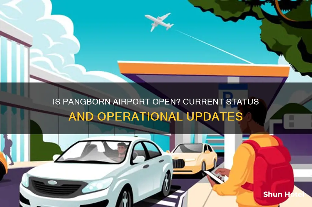 is pangborn airport open
