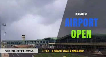 Is Panglao Airport Open? Current Status and Travel Updates