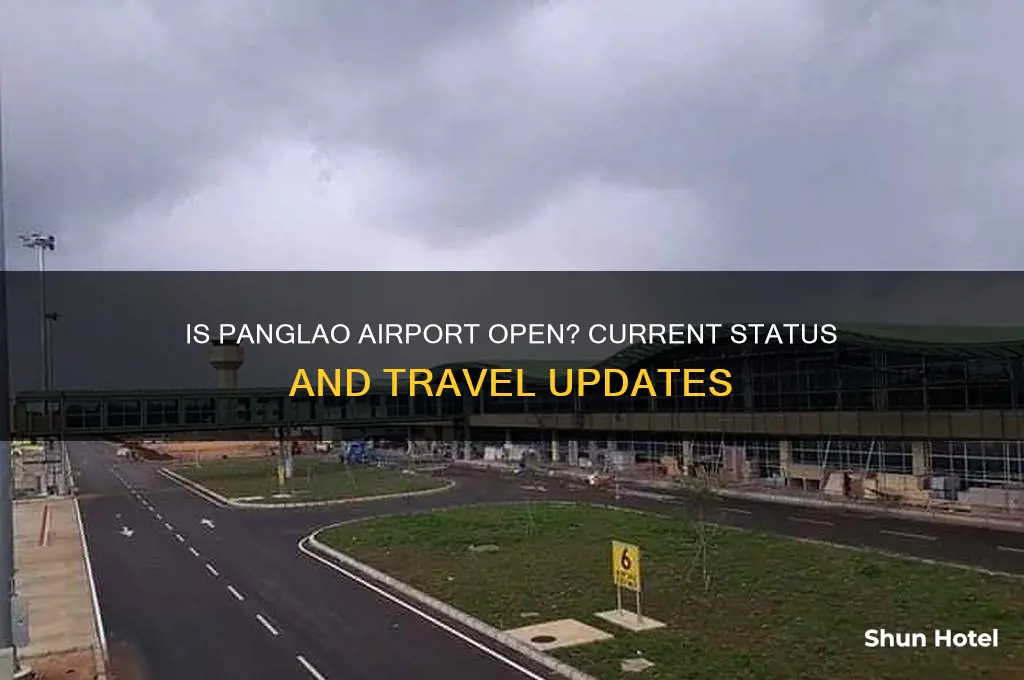 is panglao airport open