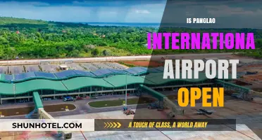 Is Panglao International Airport Open? Current Status and Updates