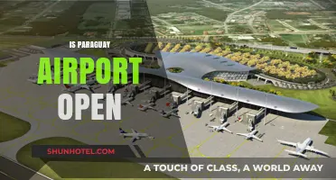 Is Paraguay Airport Open? Latest Updates and Travel Information