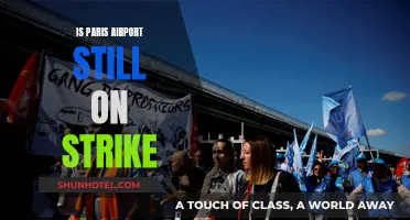 Paris Airport Strike: Ongoing Travel Chaos