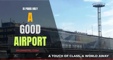 Orly Airport: A Traveler's Delight or Disaster?