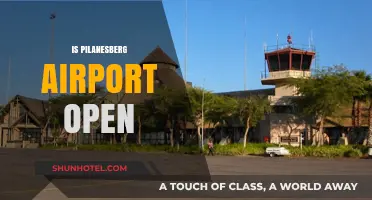 Is Pilanesberg Airport Open? Latest Updates and Travel Information