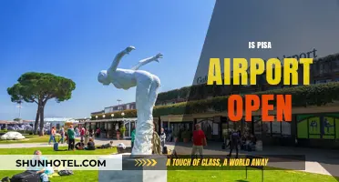 Is Pisa Airport Open? Current Status and Travel Updates