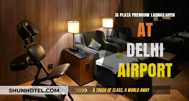 Plaza Premium Lounge Status: Is It Open at Delhi Airport?