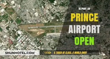 Is Port-au-Prince Airport Open? Current Status and Travel Updates