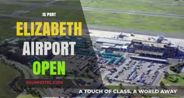 Is Port Elizabeth Airport Open? Current Status and Travel Updates
