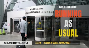 Portland Airport: Business as Usual?