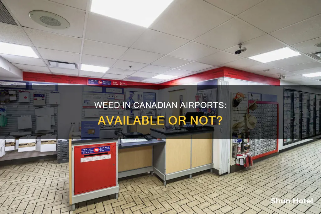 is pot available in canadian airport