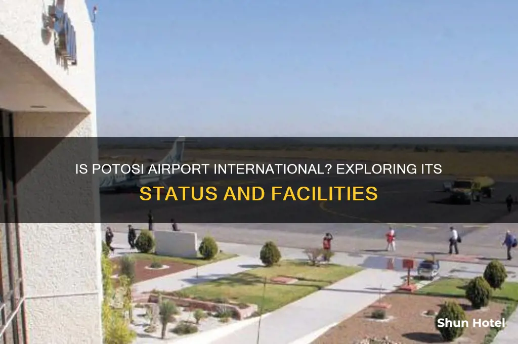 is potosi airport international