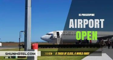 Is Proserpine Airport Open? Current Status and Travel Updates