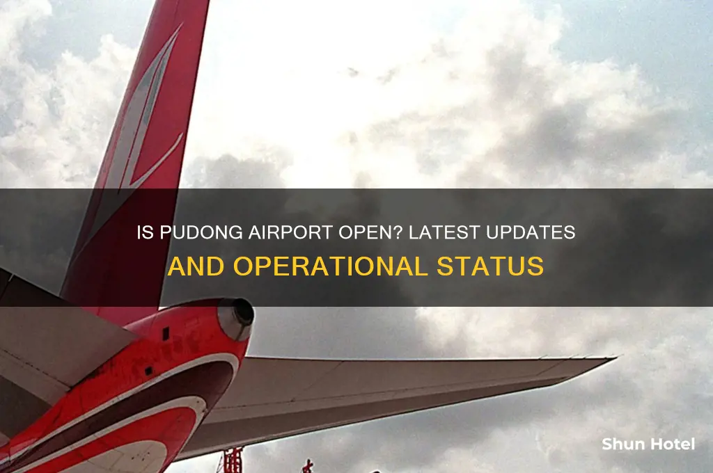 is pudong airport open