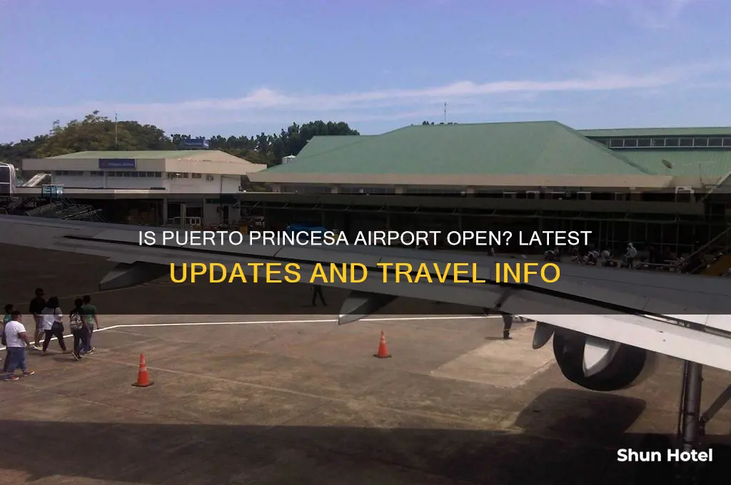 is puerto princesa airport open