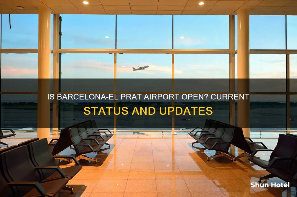 is puj airport open