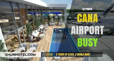 Punta Cana Airport: A Busy Travel Hub?