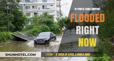 Punta Cana Airport: Flooding Update and Travel Advisory