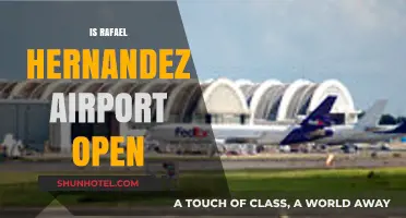 Is Rafael Hernandez Airport Open? Current Status and Travel Updates