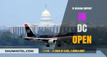 Is Reagan Airport Open? Current Status and Travel Updates in DC