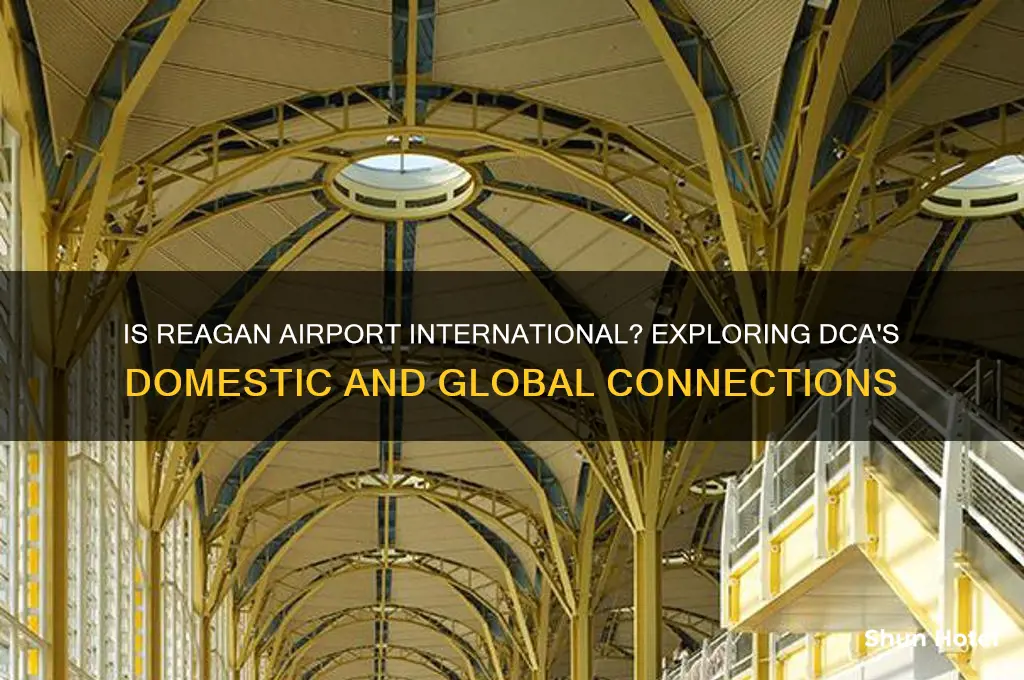 is reagan airport international