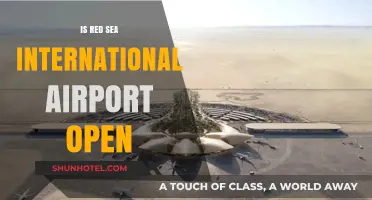 Is Red Sea International Airport Open? Latest Updates and Travel Info