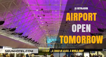 Reykjavik Airport Status: Open Tomorrow? Check Latest Updates Here