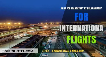 RT-PCR Test Requirements for International Flights at Delhi Airport