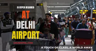 RT-PCR Test: What Delhi Airport Travelers Need to Know
