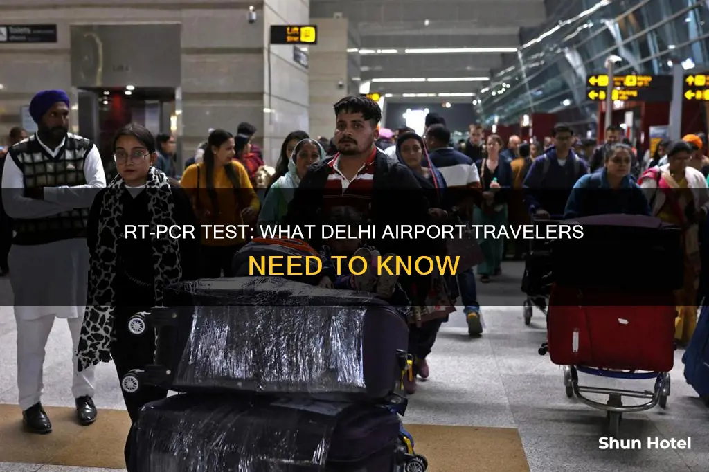 is rtpcr required at delhi airport