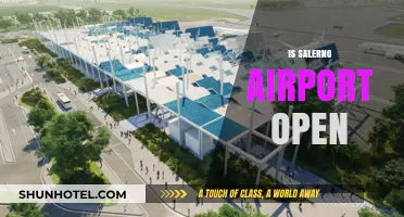 Is Salerno Airport Open? Current Status and Travel Updates