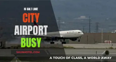 Salt Lake City Airport: Managing Busy Travel Hubs