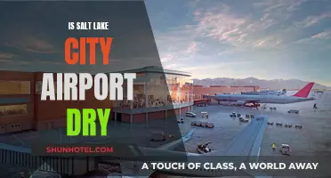 Salt Lake City Airport: Dry or Not?