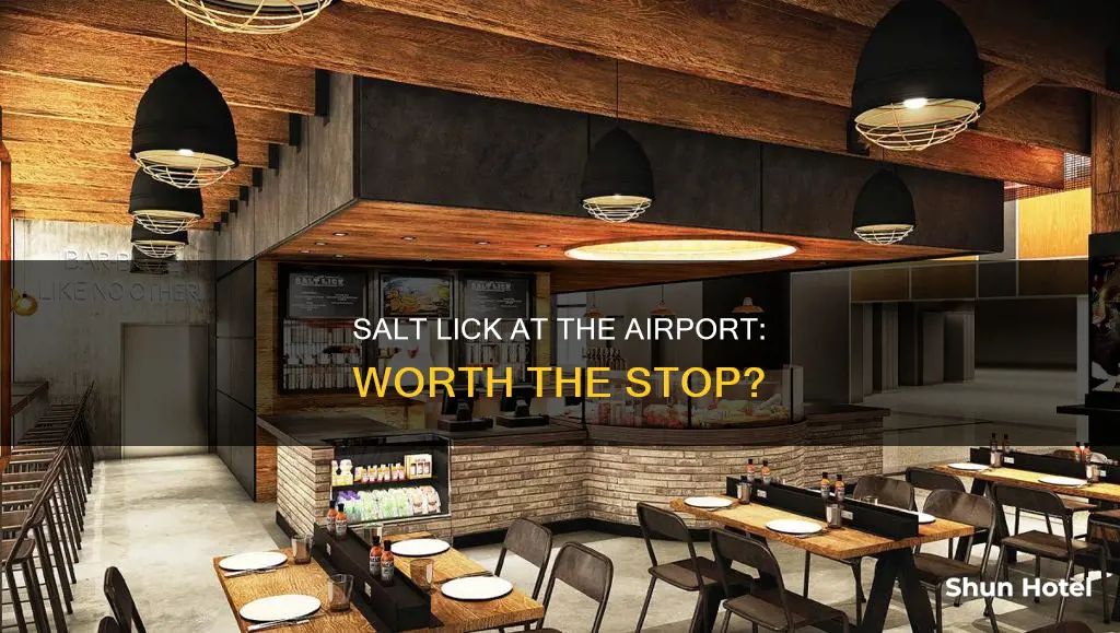 is salt lick at airport good