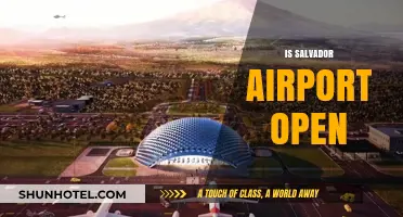 Is Salvador Airport Open? Current Status and Travel Updates
