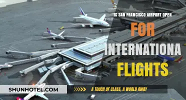 Is San Francisco Airport Open for International Flights? Latest Updates
