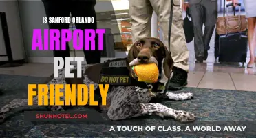 Orlando Sanford Airport: Pet-Friendly Travel Guide