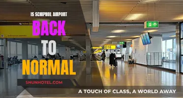 Schiphol Airport: Back to Business as Usual?