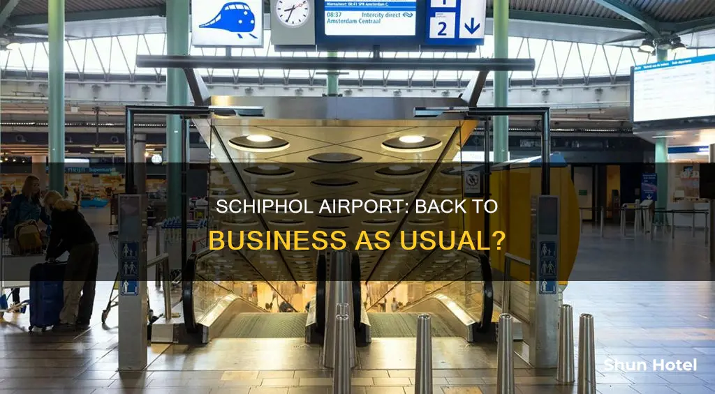 is schiphol airport back to normal